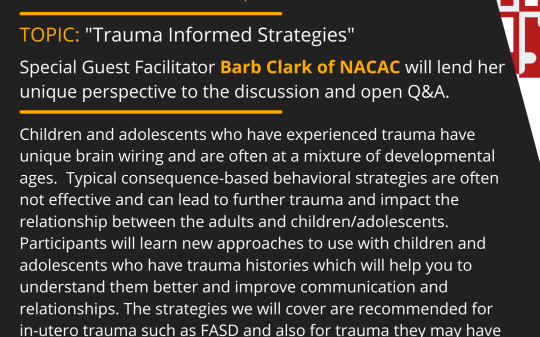 First Tuesday 05/04/2021: Trauma Informed Strategies with Barb Clark of NACAC