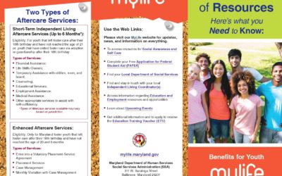 MD DHS Annual Notice of Resources Flyer